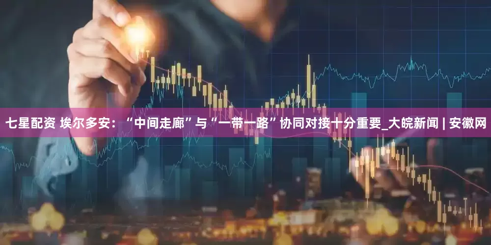 七星配资 埃尔多安：“中间走廊”与“一带一路”协同对接十分重要_大皖新闻 | 安徽网