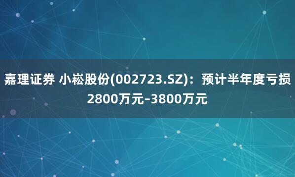 嘉理证券 小崧股份(002723.SZ)：预计半年度亏损2800万元–3800万元