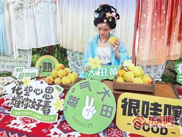 融可赢配 三明泰宁：桃林飘古韵 文旅融出“新桃路”