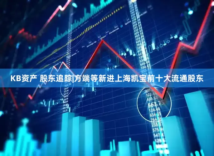 KB资产 股东追踪|方端等新进上海凯宝前十大流通股东
