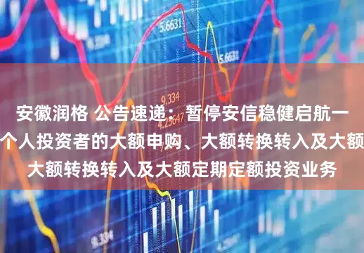 安徽润格 公告速递：暂停安信稳健启航一年持有混合基金非个人投资者的大额申购、大额转换转入及大额定期定额投资业务