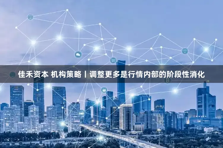 佳禾资本 机构策略丨调整更多是行情内部的阶段性消化