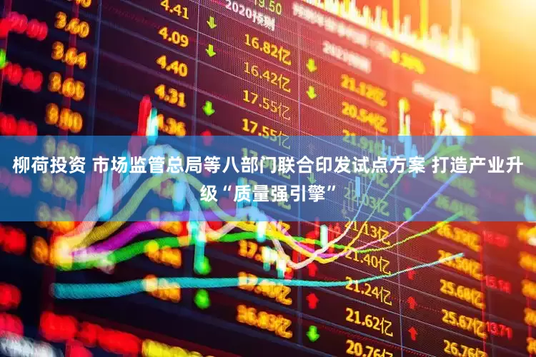 柳荷投资 市场监管总局等八部门联合印发试点方案 打造产业升级“质量强引擎”